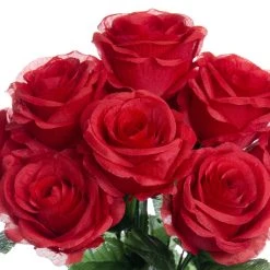 Top 10 ✔️ Red Rose Bush by Ashland® 🎉 -Ashlandty Shop 10676296 2