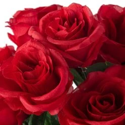 Promo 🌟 12 Pack: Red Rose Bush by Ashland® ⭐ -Ashlandty Shop 10676296 20