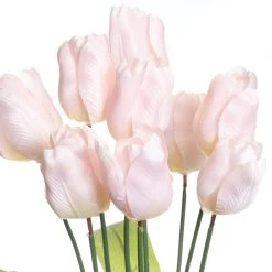 Top 10 ❤️ Pink Tulip Bush by Ashland® ⭐ -Ashlandty Shop 10676300 2