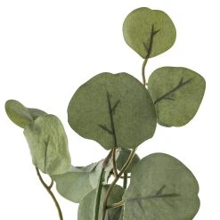 Outlet 🛒 6ft. Eucalyptus Garland by Ashland® 🌟 -Ashlandty Shop 10676308 20