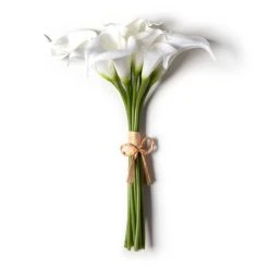 Coupon 🔔 White Calla Lily Bundle by Ashland® ✔️ -Ashlandty Shop 10676315 21