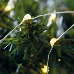 Buy ⭐ 36ct. Warm White Bead LED Crafting Lights by Ashland® 😀 -Ashlandty Shop 10676411 2