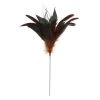 Cheap ✨ Chocolate Peacock Feather Pick by Ashland® 🛒 -Ashlandty Shop 10677446 1
