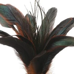 Cheap β¨ Chocolate Peacock Feather Pick by Ashland® π 5 Cheap β¨ Chocolate Peacock Feather Pick by Ashland® π -Ashlandty Shop 10677446 2