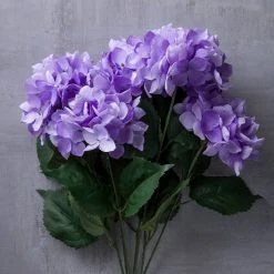 Coupon 🎉 Purple Hydrangea Bush by Ashland® 👏 -Ashlandty Shop 10677449 22