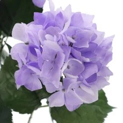 Best Pirce ✨ 12 Pack: Purple Hydrangea Bush by Ashland® 🥰 -Ashlandty Shop 10677449 3 1
