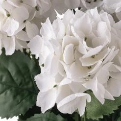 Best Sale 🛒 White Hydrangea Bush by Ashland® 🔥 -Ashlandty Shop 10677450 20