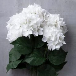 New ✔️ 12 Pack: White Hydrangea Bush by Ashland® 🔥 -Ashlandty Shop 10677450 22 1
