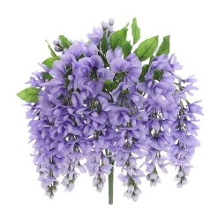 Best Sale ✨ Purple Wisteria Bush by Ashland® ⌛