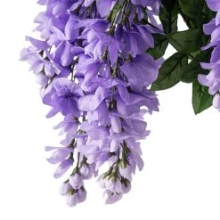 Budget 😍 12 Pack: Purple Wisteria Bush by Ashland® 🎉 -Ashlandty Shop 10677451 20 1