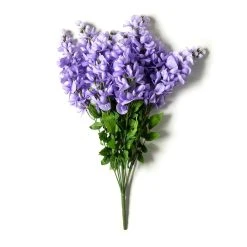 Budget 😍 12 Pack: Purple Wisteria Bush by Ashland® 🎉 -Ashlandty Shop 10677451 21 1