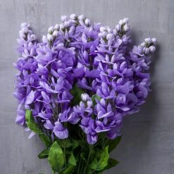 Budget 😍 12 Pack: Purple Wisteria Bush by Ashland® 🎉 -Ashlandty Shop 10677451 22 1