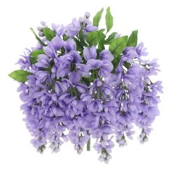 Budget 😍 12 Pack: Purple Wisteria Bush by Ashland® 🎉 -Ashlandty Shop 10677451 5 1