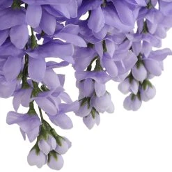 Budget 😍 12 Pack: Purple Wisteria Bush by Ashland® 🎉 -Ashlandty Shop 10677451 6 1