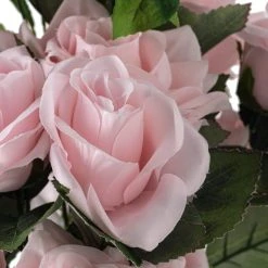 New 🥰 12 Pack: Pink Rose Bush by Ashland® 🔥 -Ashlandty Shop 10677454 20