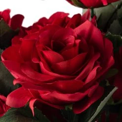 Best reviews of ⌛ 12 Pack: Red Rose Bush by Ashland® 🌟 -Ashlandty Shop 10677456 20 1