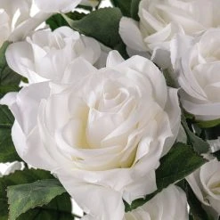 Best reviews of 🥰 White Rose Bush by Ashland® ❤️ -Ashlandty Shop 10677458 20