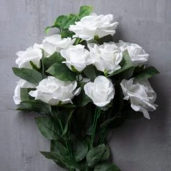Best reviews of 🥰 White Rose Bush by Ashland® ❤️ -Ashlandty Shop 10677458 22