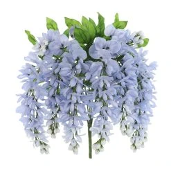 Top 10 🛒 12 Pack: Blue Wisteria Bush by Ashland® 🥰