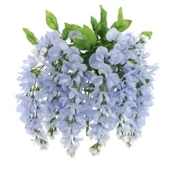 Top 10 🛒 12 Pack: Blue Wisteria Bush by Ashland® 🥰 -Ashlandty Shop 10677460 5 1