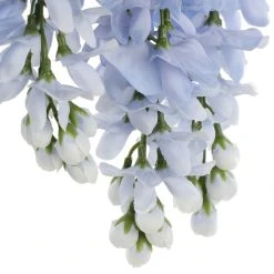 Top 10 🛒 12 Pack: Blue Wisteria Bush by Ashland® 🥰 -Ashlandty Shop 10677460 6 1