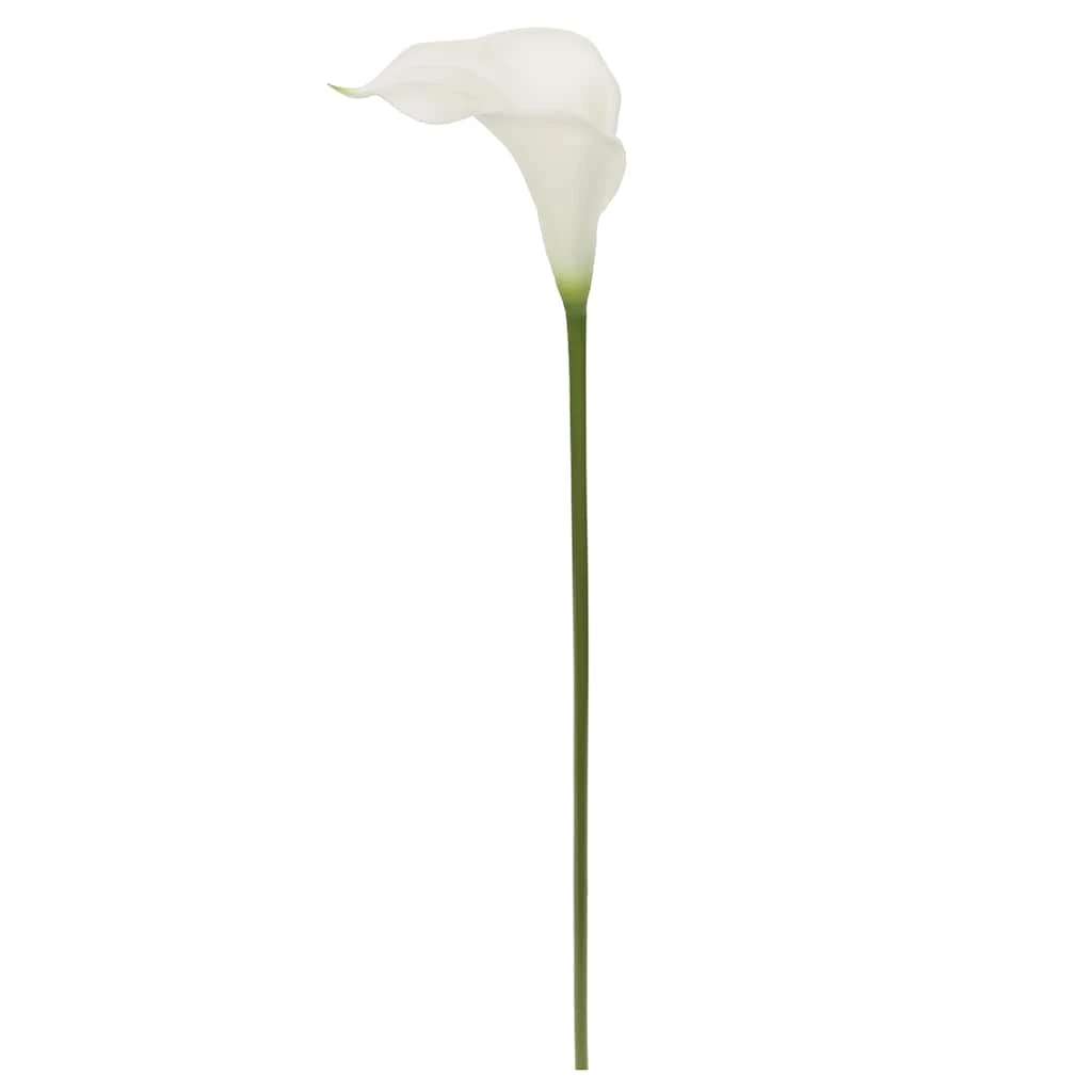 Outlet π― White Calla Lily Stem by Ashland® π 3 Outlet π― White Calla Lily Stem by Ashland® π