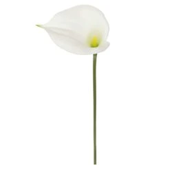 Outlet π― White Calla Lily Stem by Ashland® π 9 Outlet π― White Calla Lily Stem by Ashland® π -Ashlandty Shop 10679176 2