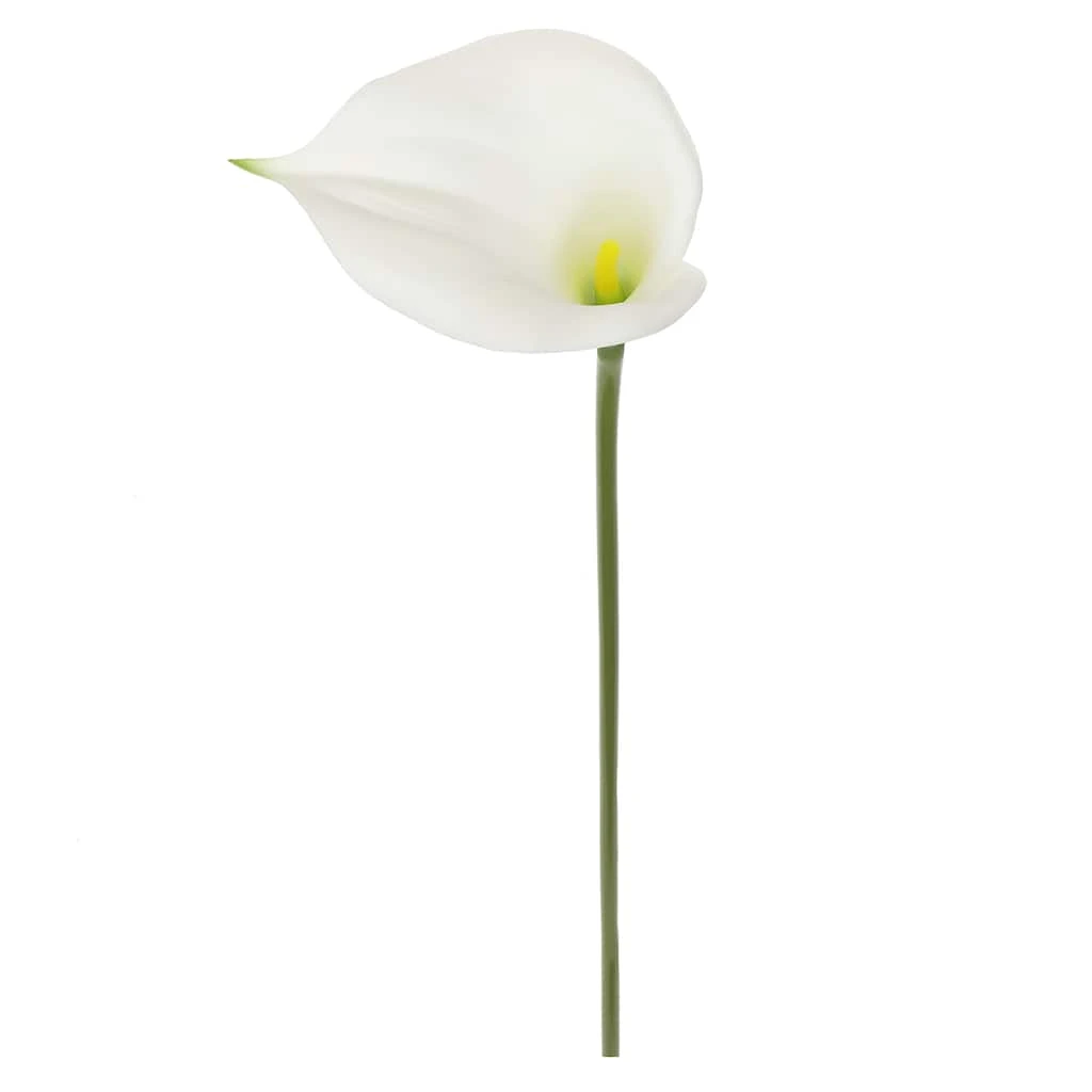 Outlet π― White Calla Lily Stem by Ashland® π 5 Outlet π― White Calla Lily Stem by Ashland® π - Image 3