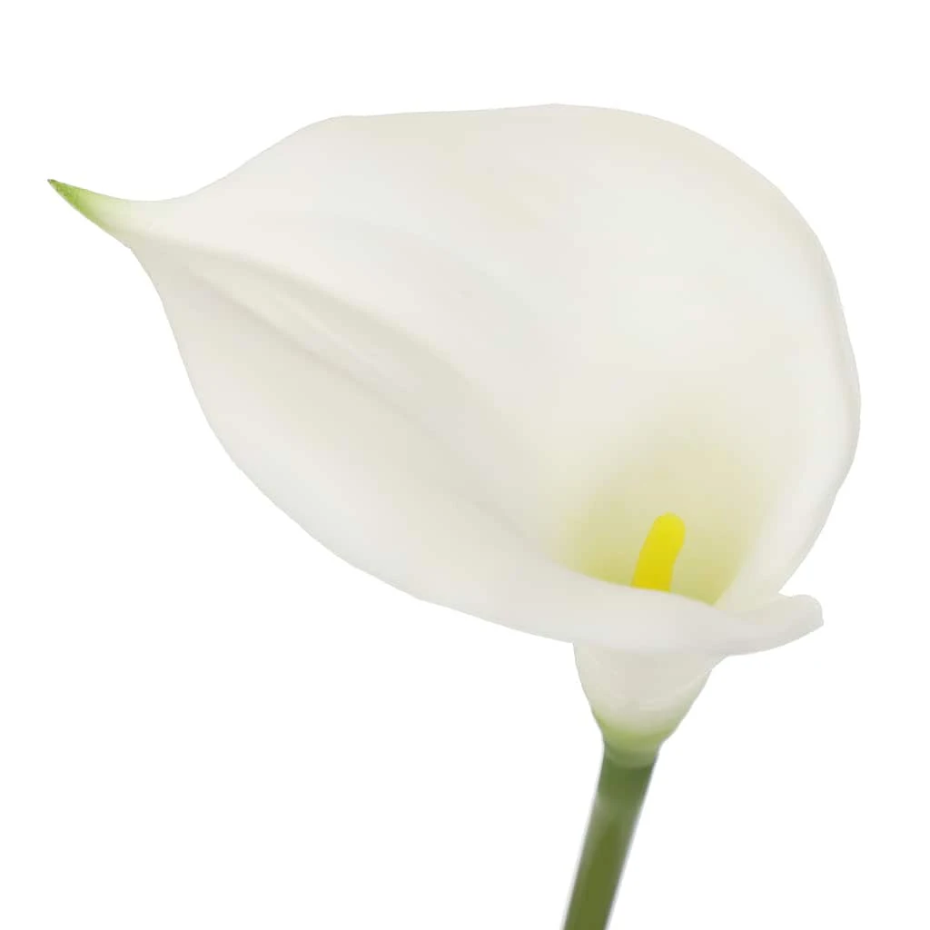 Outlet π― White Calla Lily Stem by Ashland® π 6 Outlet π― White Calla Lily Stem by Ashland® π - Image 4