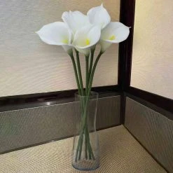 Outlet π― White Calla Lily Stem by Ashland® π 11 Outlet π― White Calla Lily Stem by Ashland® π -Ashlandty Shop 10679176 4