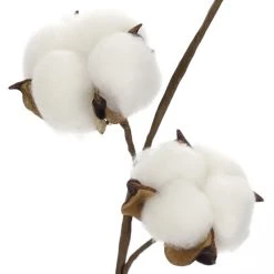 Coupon ⌛ Cotton Stem by Ashland® 👏 -Ashlandty Shop 10679177 2