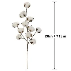Coupon ⌛ Cotton Stem by Ashland® 👏 -Ashlandty Shop 10679177 3