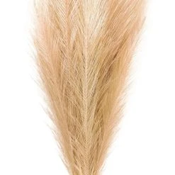 Budget ❤️ Wispy Pampas Grass Stem by Ashland® ✨ -Ashlandty Shop 10679178 2