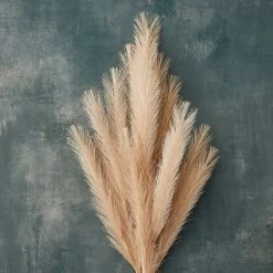 Budget ❤️ Wispy Pampas Grass Stem by Ashland® ✨ -Ashlandty Shop 10679178 20