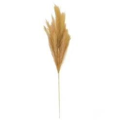 Budget ❤️ Wispy Pampas Grass Stem by Ashland® ✨ -Ashlandty Shop 10679178 3