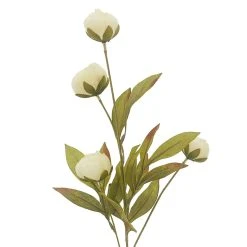 Wholesale ⌛ Cream Peony Stem by Ashland® ✔️ -Ashlandty Shop 10679180 2