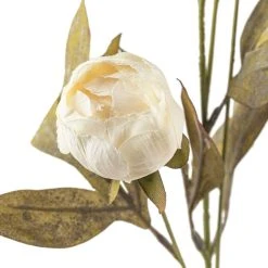 Wholesale ⌛ Cream Peony Stem by Ashland® ✔️ -Ashlandty Shop 10679180 20
