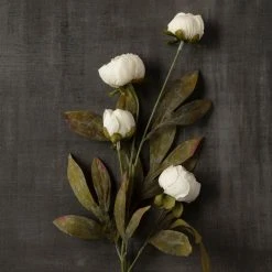 Wholesale ⌛ Cream Peony Stem by Ashland® ✔️ -Ashlandty Shop 10679180 25
