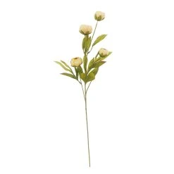 Deals 🤩 Tan Peony Stem by Ashland® 😉