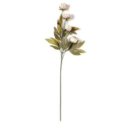 Deals 🤩 Tan Peony Stem by Ashland® 😉 -Ashlandty Shop 10679183 21