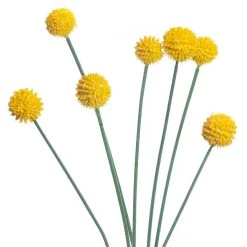 Outlet ✔️ Yellow Billy Ball Stem by Ashland® 👏 -Ashlandty Shop 10679191 2