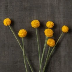 Outlet ✔️ Yellow Billy Ball Stem by Ashland® 👏 -Ashlandty Shop 10679191 25