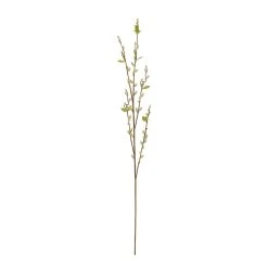 Cheapest 🥰 16 Pack: Cream Willow Branch Stem by Ashland® 👍