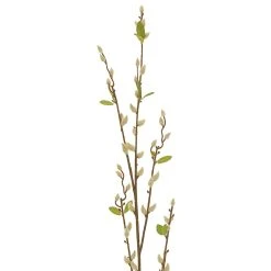 Hot Sale ⭐ Cream Willow Branch Stem by Ashland® 🌟 -Ashlandty Shop 10679192 2