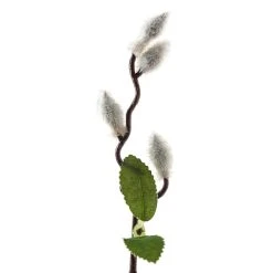 Hot Sale ⭐ Cream Willow Branch Stem by Ashland® 🌟 -Ashlandty Shop 10679192 20