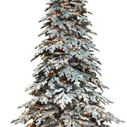 Best reviews of π 7.5ft. Pre-Lit Fir Artificial Christmas Tree, Clear Lights by Ashland® π₯° 5 Best reviews of π 7.5ft. Pre-Lit Fir Artificial Christmas Tree, Clear Lights by Ashland® π₯° -Ashlandty Shop 10694560 2