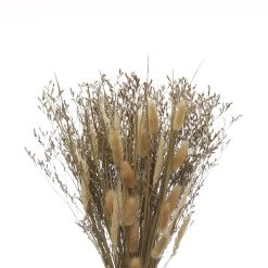 Outlet π Brown Natural Bouquet by Ashland® π 6 Outlet π Brown Natural Bouquet by Ashland® π -Ashlandty Shop 10697033 2