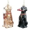 Discount 💯 Assorted 4" Glass Lab 🎁 Dog Ornament by Ashland® ❄ Christmas ⭐ -Ashlandty Shop 10697622 1