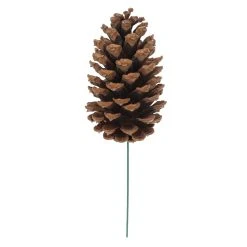 Best Sale 😀 Pinecone Pick by Ashland® ❤️