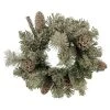 Deals 😀 12" Flocked Pine & Pinecone Wreath by Ashland® Christmas 🥰